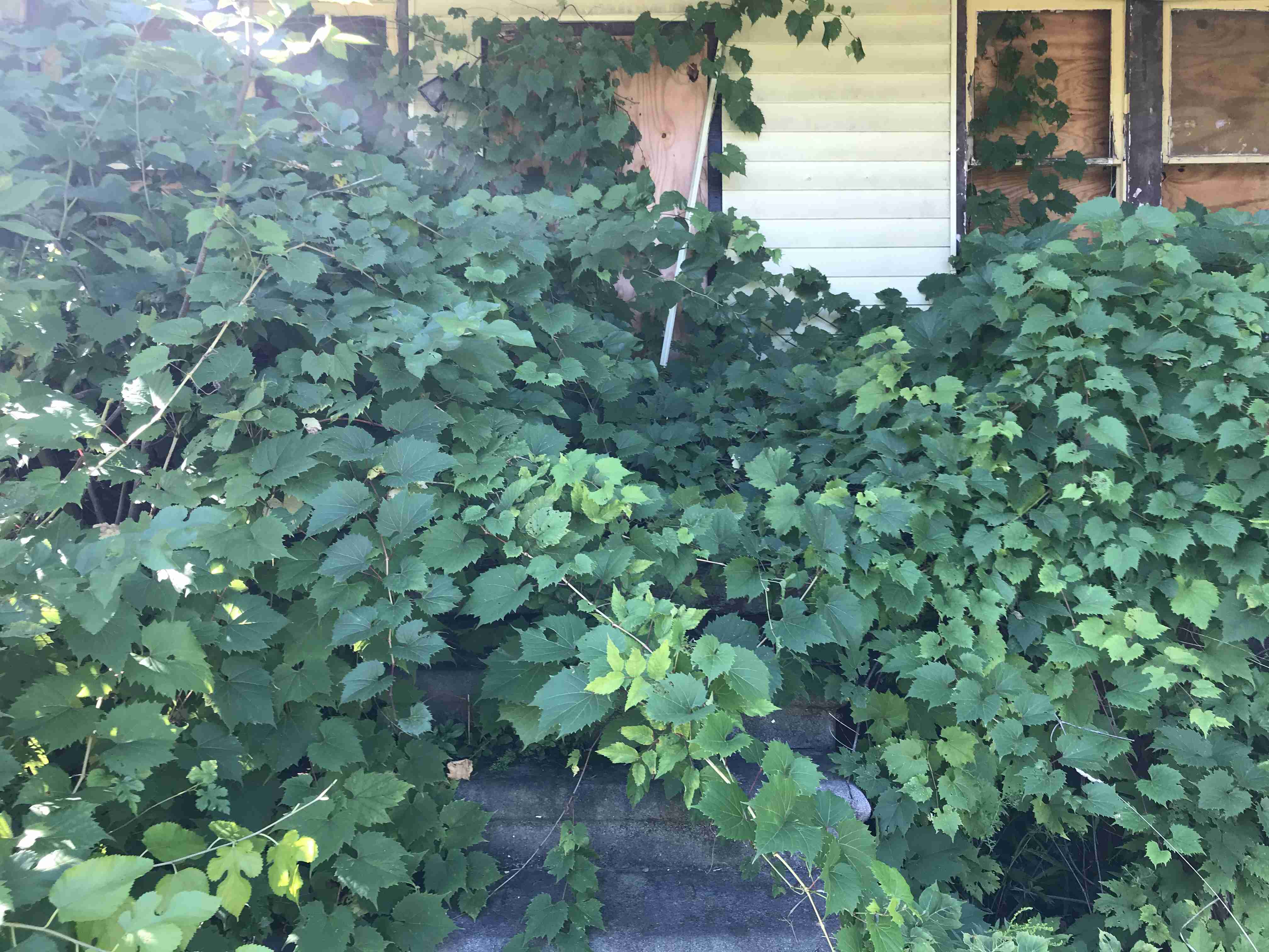 Photo Aug 20, 10 11 17 AM.jpg